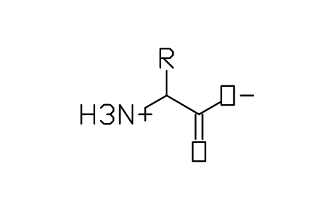 Preview of the Amino acid, zwitterion symbol, block CHM_B_ZWITTER