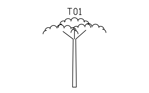 Tree, pine, umbrella crown sembolünün önizlemesi, blok ENT_CONIFER_PINE