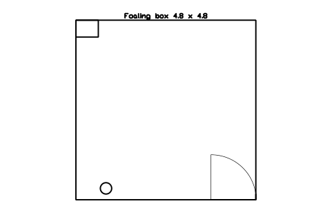 Aperçu du symbole Foaling box 4.8 x 4.8, bloc FRM_FOALING_BOX