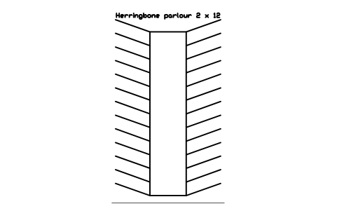 Aperçu du symbole Herringbone parlour 2 x 12, bloc FRM_PARLOUR_HERRING_2X12