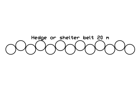 Aperçu du symbole Hedge or shelter belt 20 m, bloc FRM_WIND_BREAK