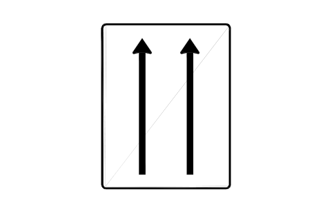 Anteprima del simbolo 521-30 Lane board, two lanes, blocco RSD_521_30