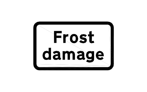 Preview of the 563V8 Frost damage symbol, block RKW_563V8